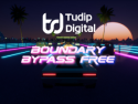 Boundary Bypass Free